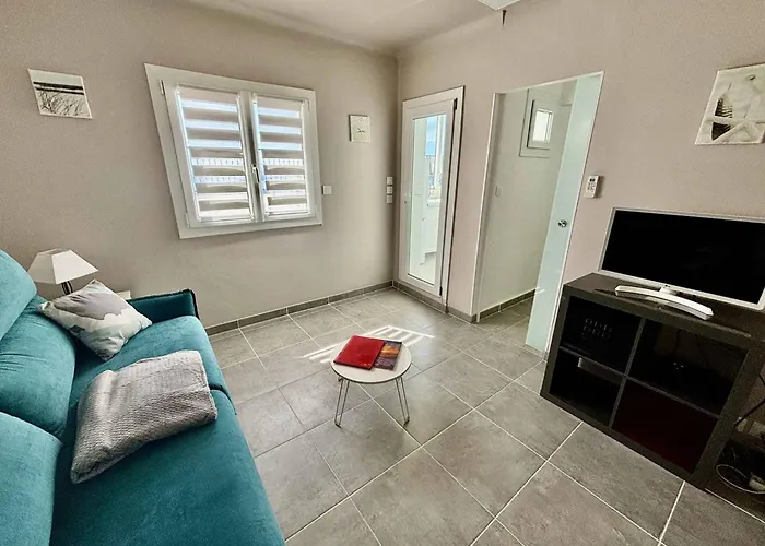 Apartment Climatise Avec Terrasse & Privee - Fr-1-816-5 Le Lavandou